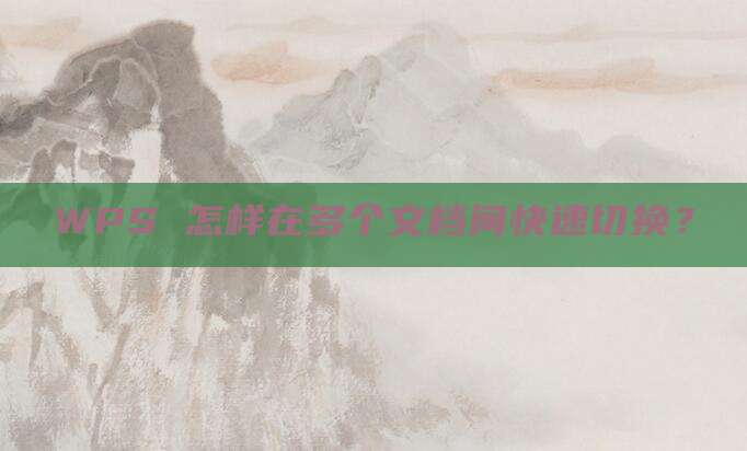 WPS 怎样在多个文档间快速切换?