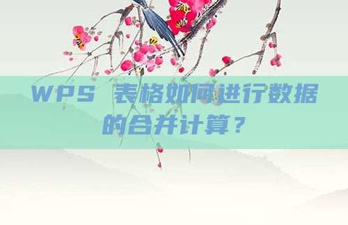 WPS 表格如何进行数据的合并计算?
