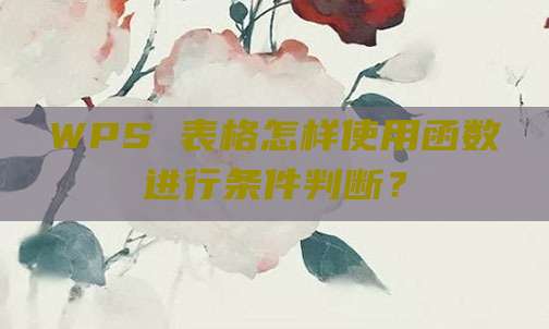 WPS 表格怎样使用函数进行条件判断?