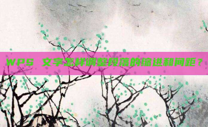 WPS 文字怎样调整段落的缩进和间距?