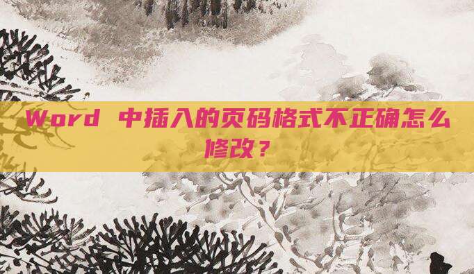 Word 中插入的页码格式不正确怎么修改?