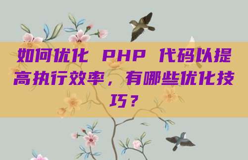 如何优化 PHP 代码以提高执行效率,有哪些优化技巧?