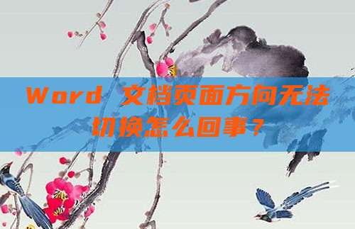 Word 文档页面方向无法切换怎么回事?